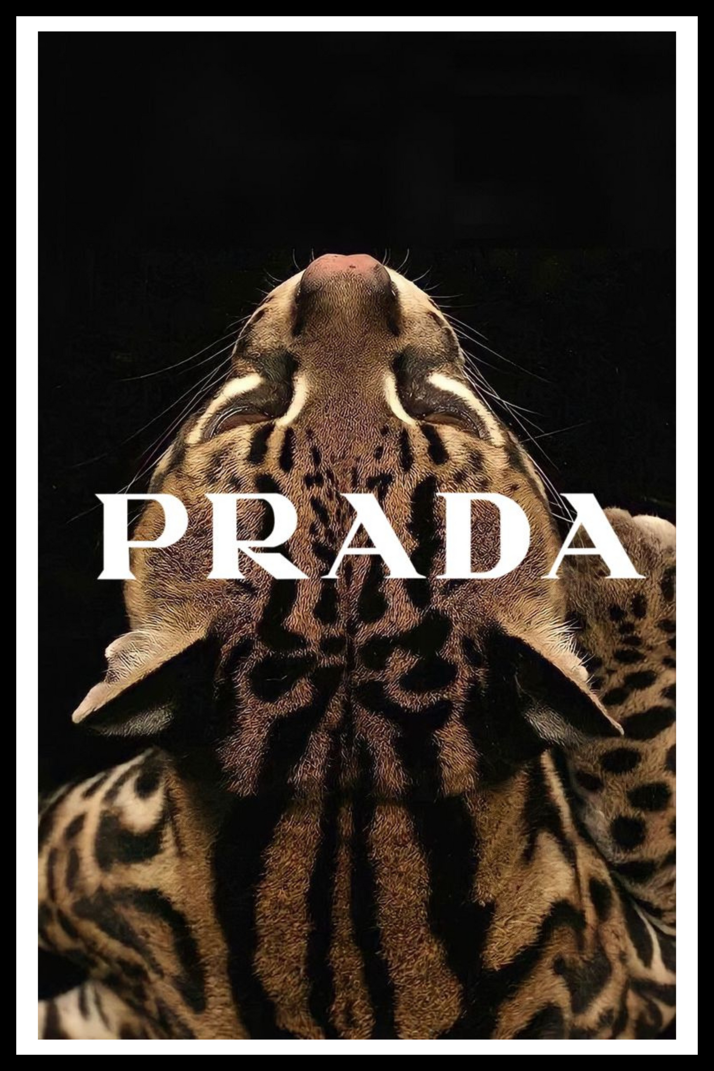 Affiche - Prada ocelot NOLOOK